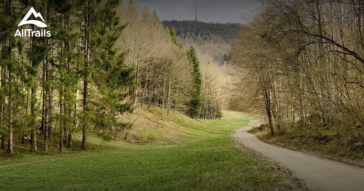 Best Hikes And Trails In Novo Mesto AllTrails