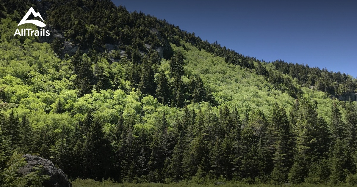 10 Best Trails and Hikes in Vermont AllTrails