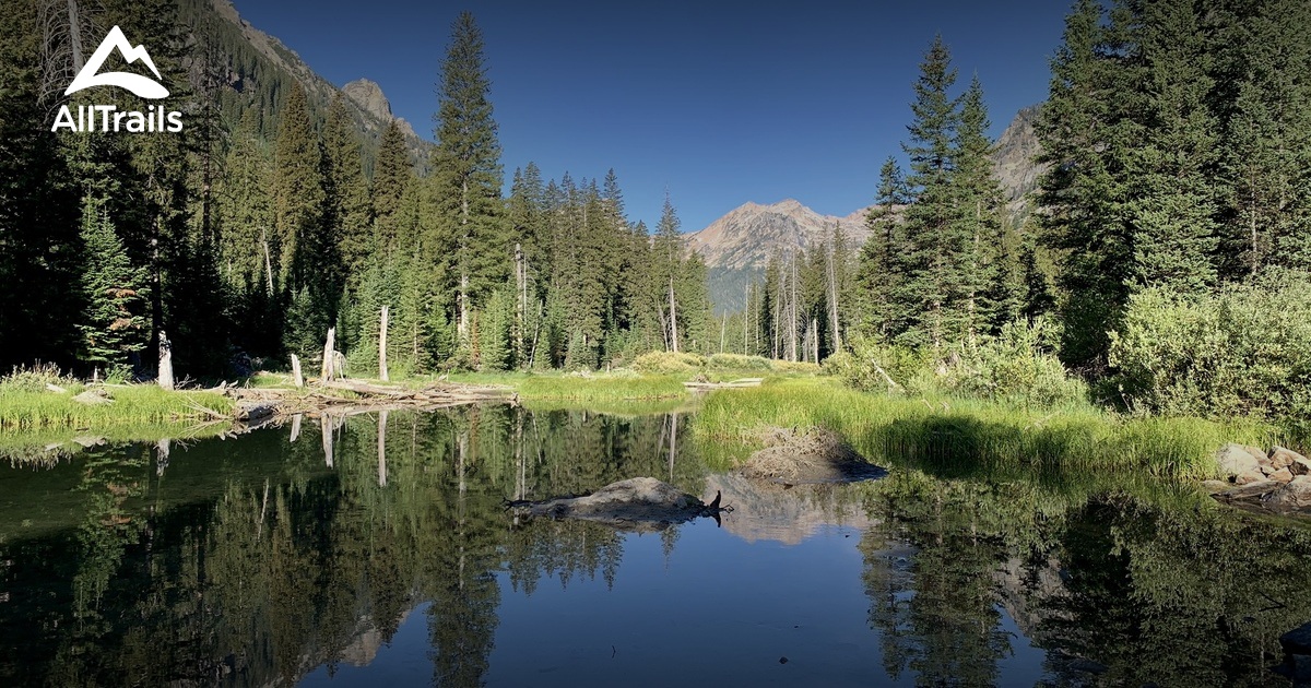 Dog friendly hikes 2024 near grand tetons