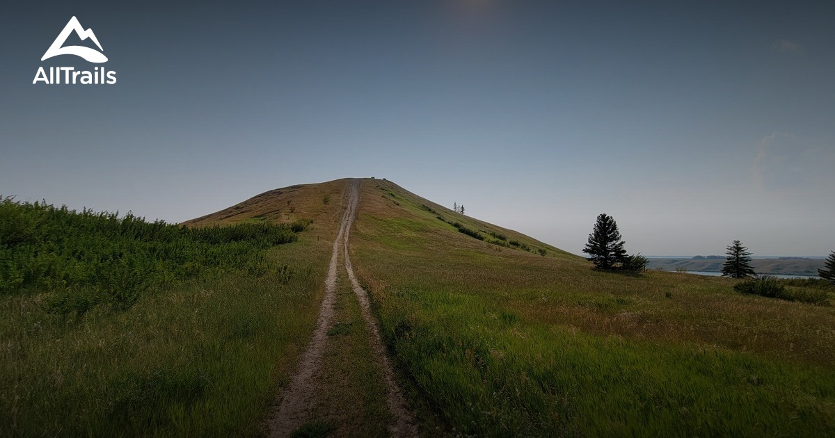 2023 Beste Routen in der Umgebung von Mount Blackstrap AllTrails