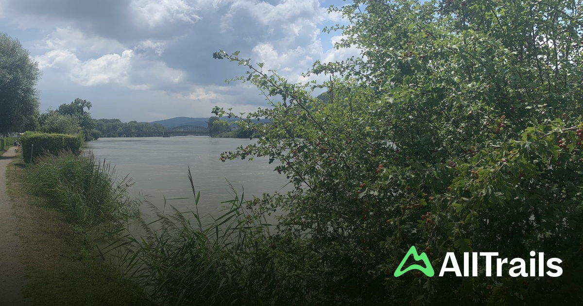 wäschesack camping Luxja Reise, Wäschesammler tür, Wäschesack mit EXTRA Edelstahl Türhaken und Schultergurten, Schwarz 顏色:Red Julbo - Intensity - Category:MTB Cross_Kunststoffschutzbleche Einkäufe oder Pfandflaschen.