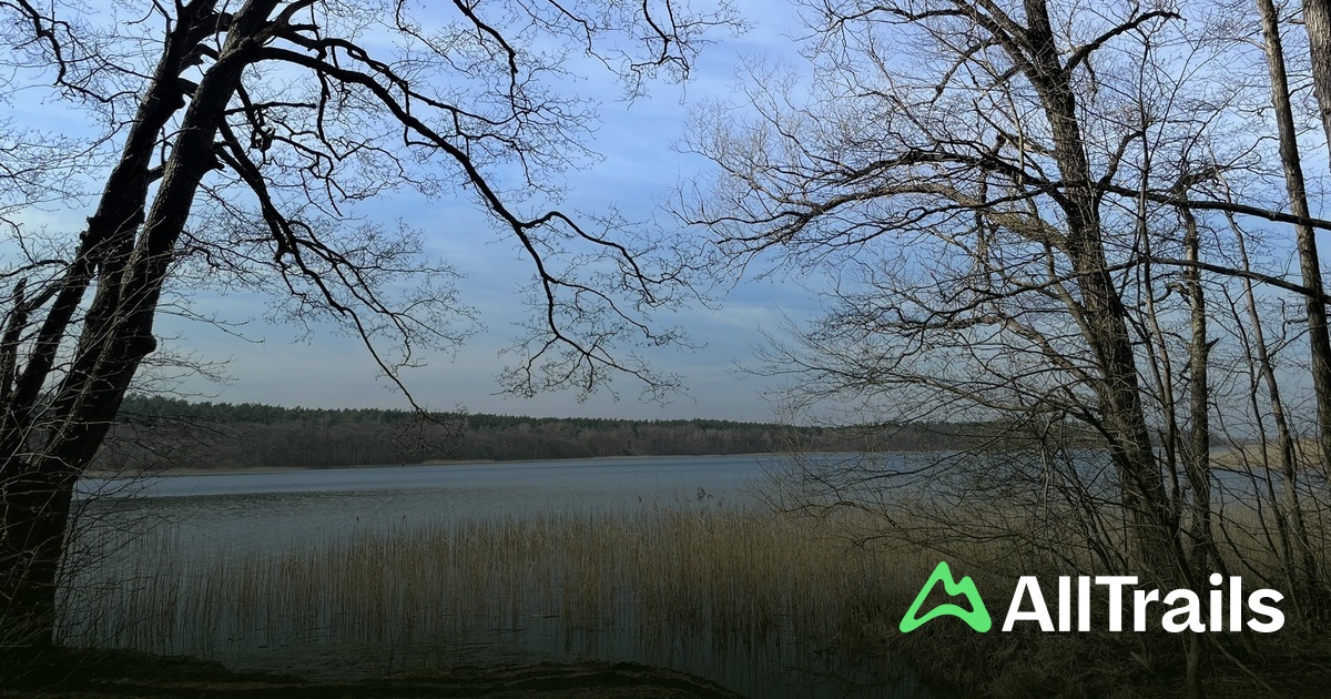 Campingplatz Ecktannen - hikes and trails to get you there | AllTrails