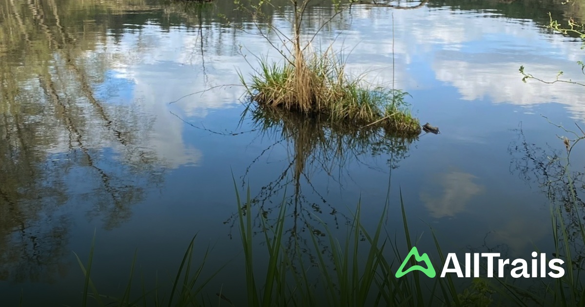 Schlaubetal Camping Schervenzsee - hikes and trails to get you there |  AllTrails