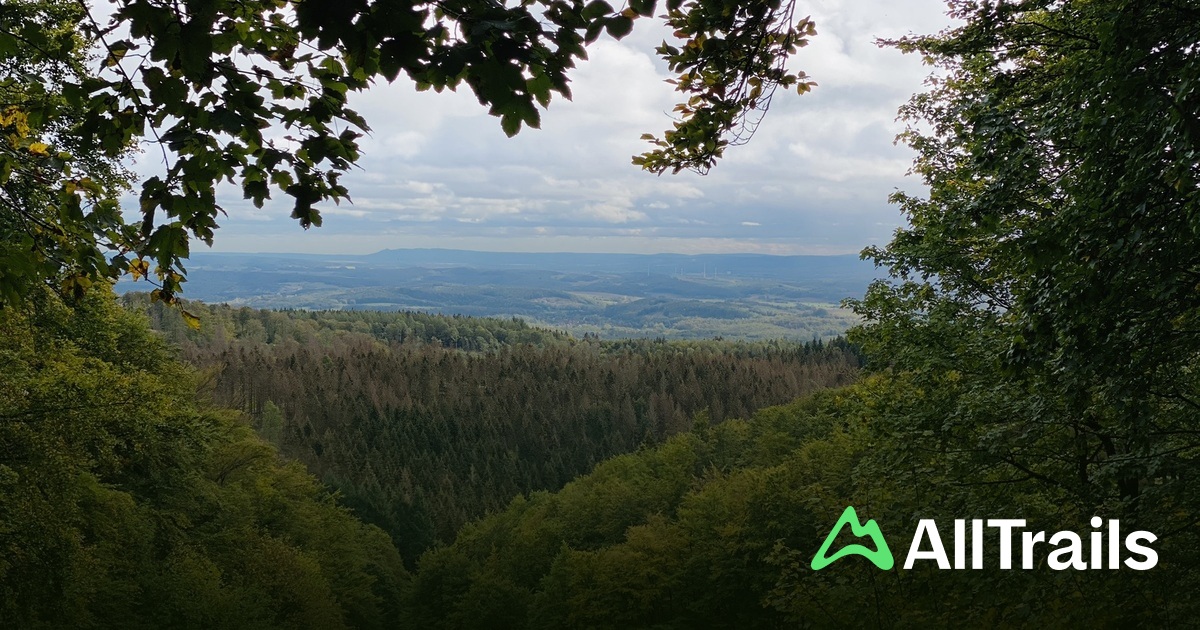 Campingpark Wiesenbeker Teich: Die besten Routen in der Umgebung | AllTrails