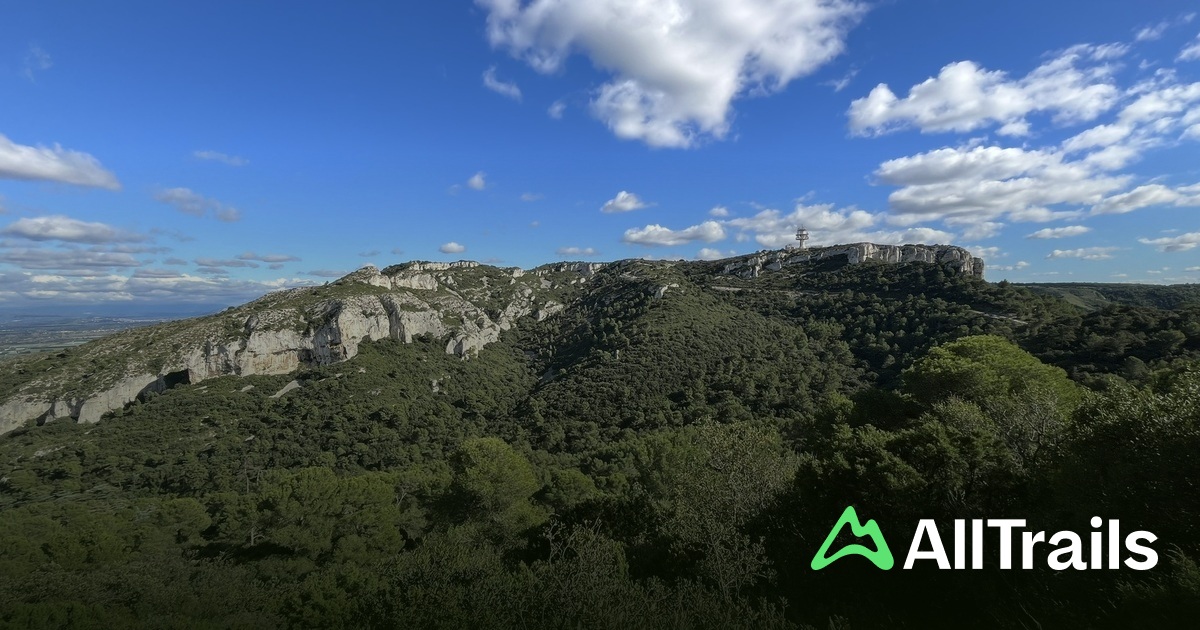 Arènes Municipales Chomel Coinon - hikes and trails to get you there ...