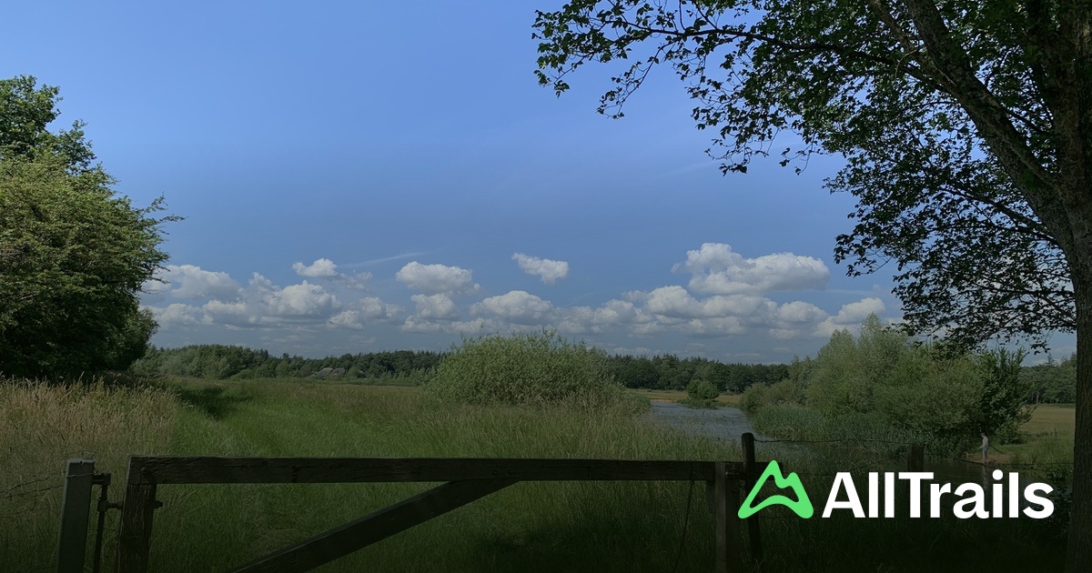 Camping de Koeksebelt - hikes and trails to get you there | AllTrails