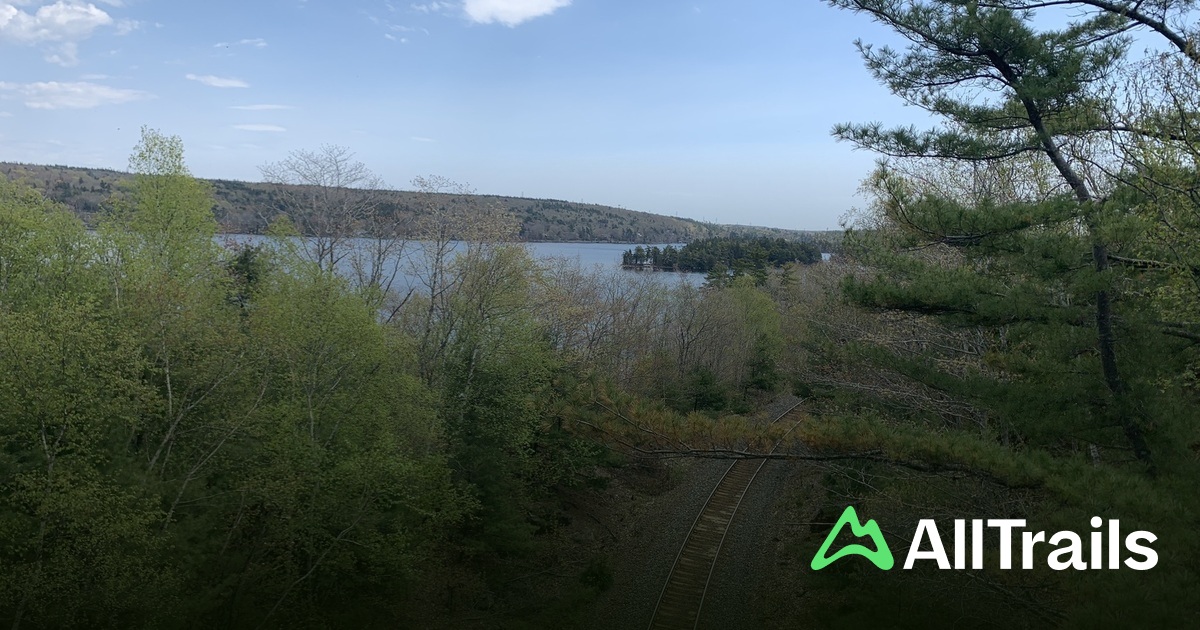 Powder Mill Lake - hikes and trails to get you there | AllTrails