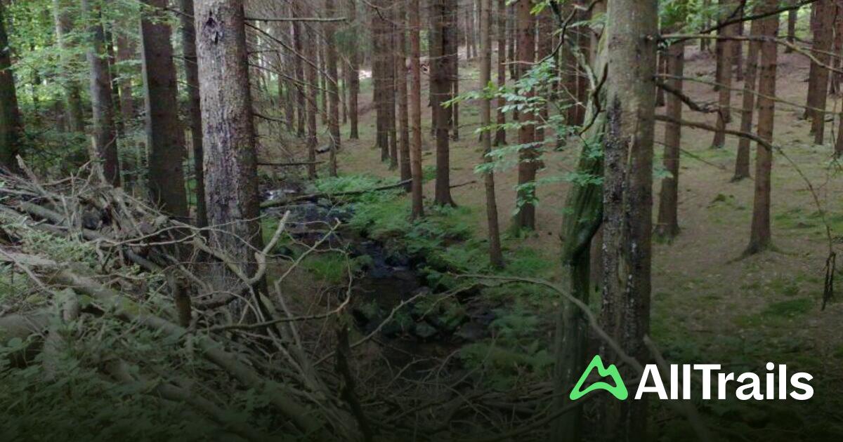 Odenwald Camping - hikes and trails to get you there | AllTrails