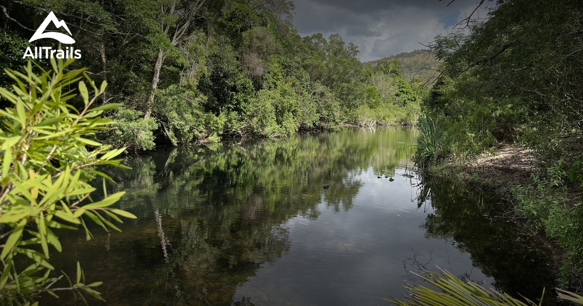 2023 Best Trails near Alligator Creek Falls AllTrails