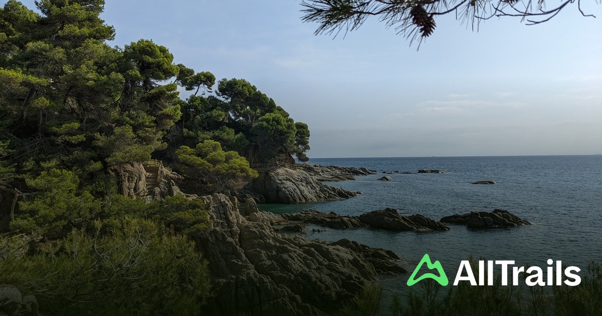Camping Treumal - hikes and trails to get you there | AllTrails