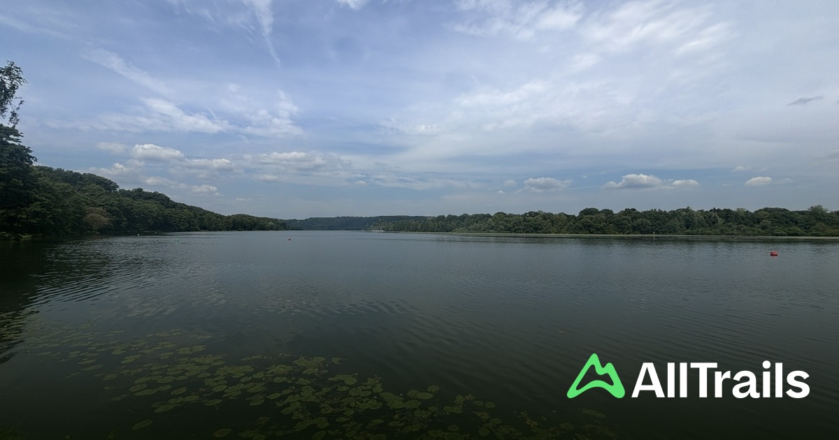 gasgrill für camping GROVE Camping