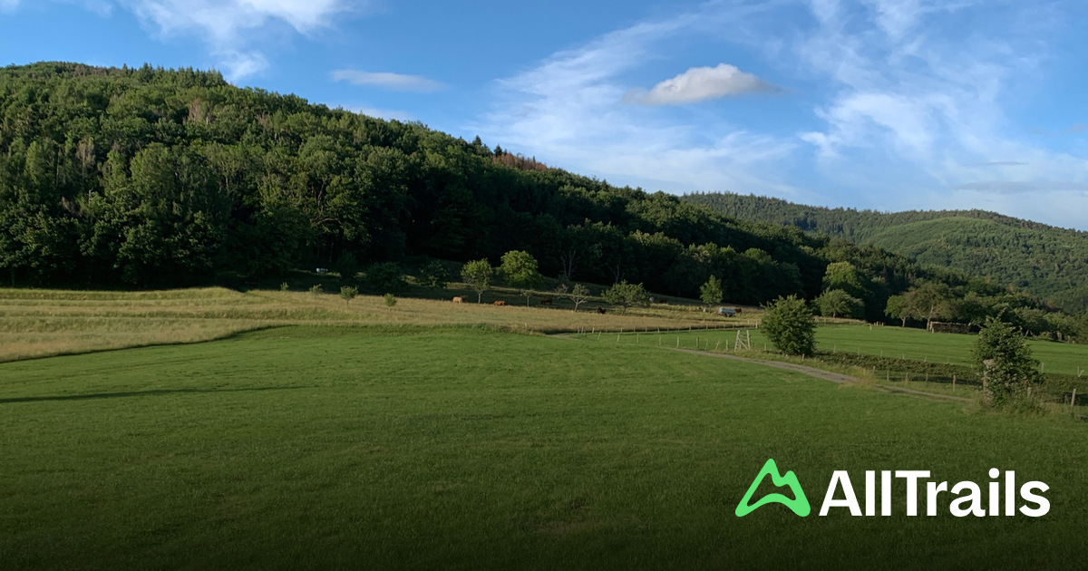 Beste routes in de buurt van Camping de Masevaux | AllTrails