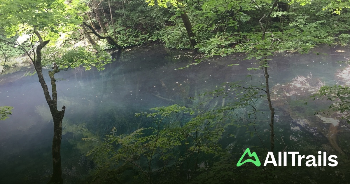 青池（十二湖） - hikes and trails to get you there | AllTrails