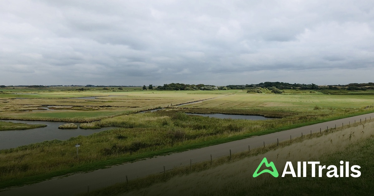 De beste stiene i nrheten av Duinpark en Camping De Robbenjager | AllTrails
