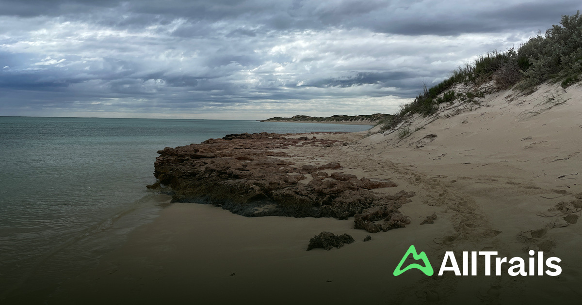 Sandy Bay - hikes and trails to get you there | AllTrails