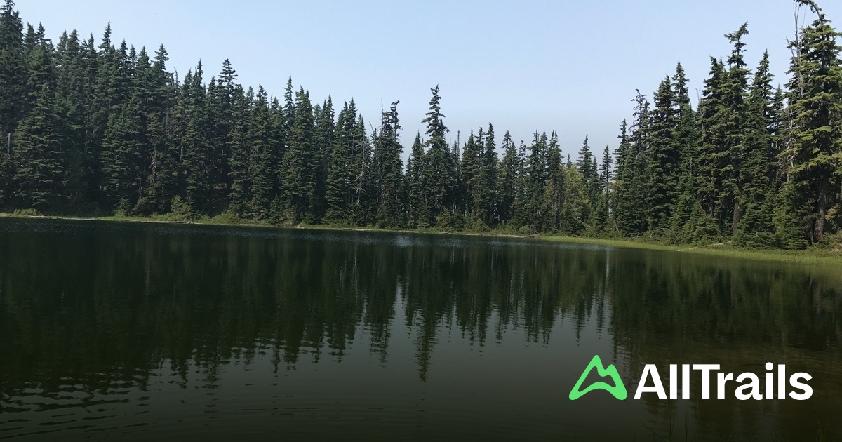 Root Lake - hikes and trails to get you there | AllTrails