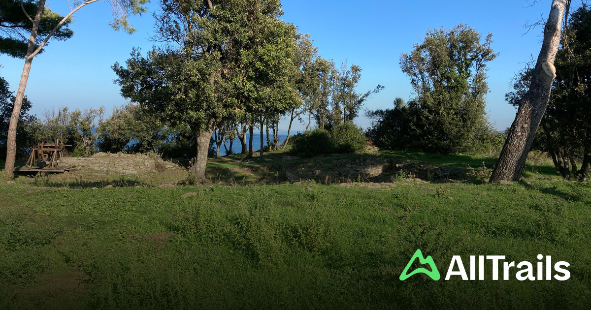 Camping Village Park Albatros - hikes and trails to get you there |  AllTrails
