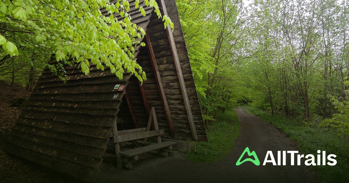 Beste routes in de buurt van Camping & Ferienpark Brilon | AllTrails