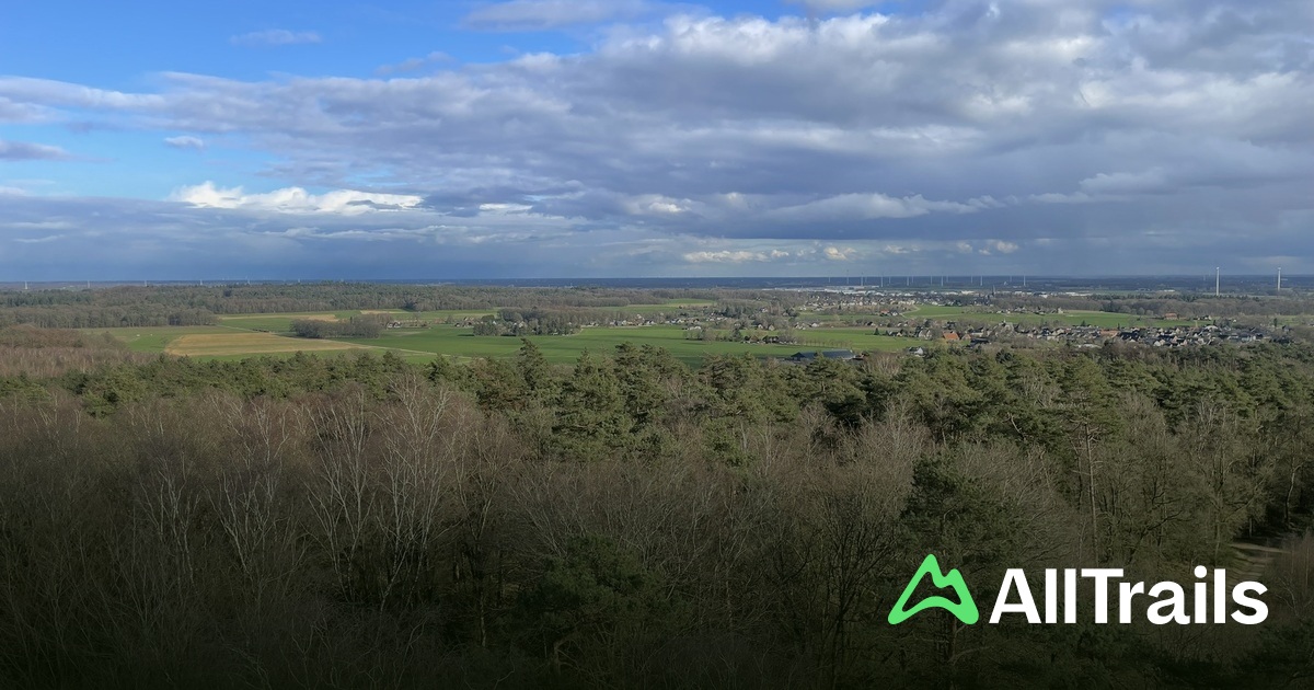 Camping De Bijland - hikes and trails to get you there | AllTrails