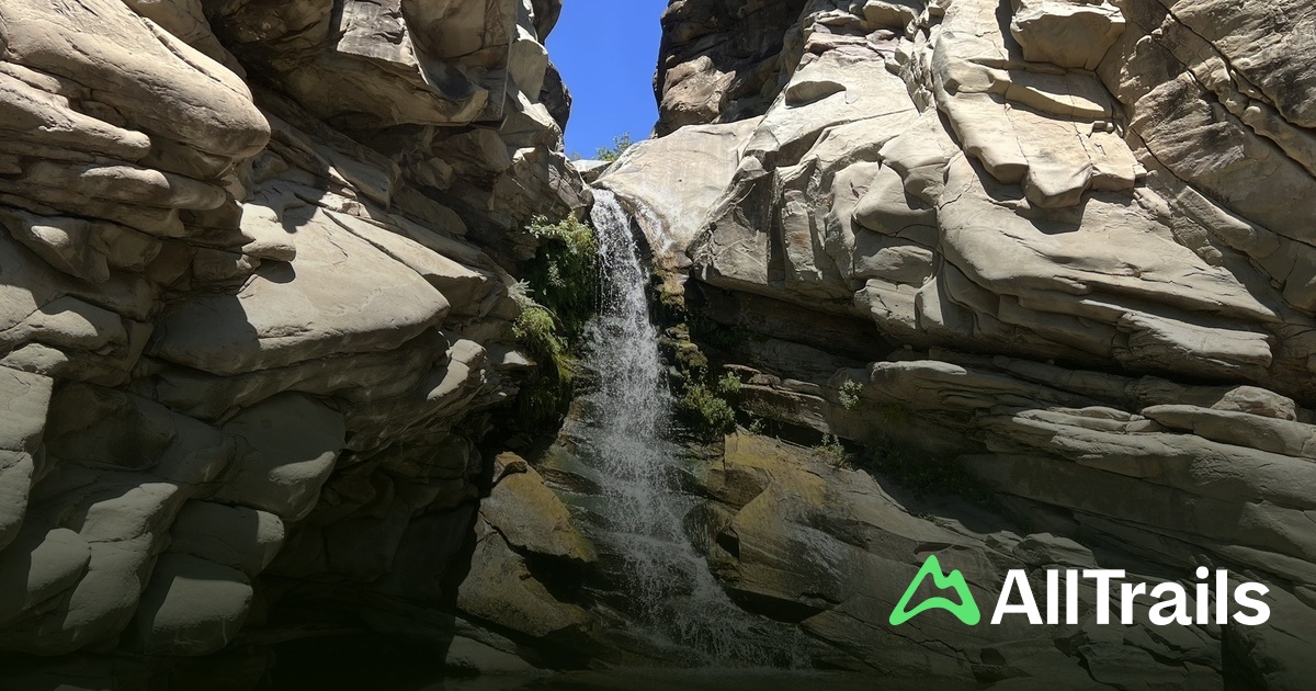Cross Camp - hikes and trails to get you there | AllTrails