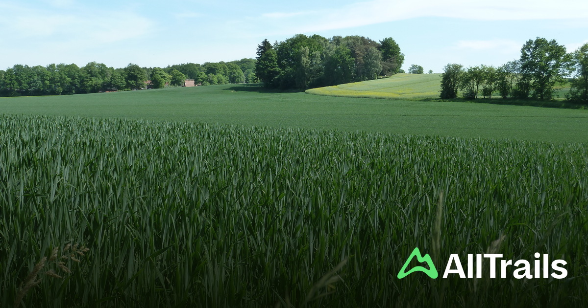 Campingplatz Jesteburg - hikes and trails to get you there | AllTrails