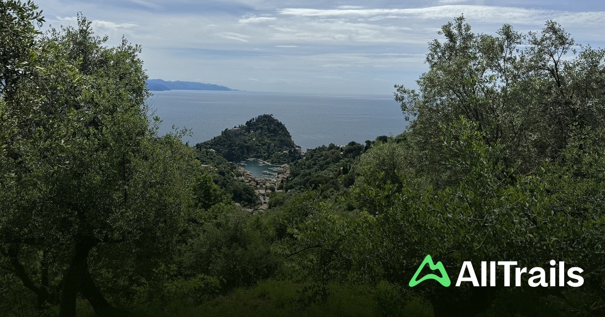 Punta Pedale - hikes and trails to get you there | AllTrails
