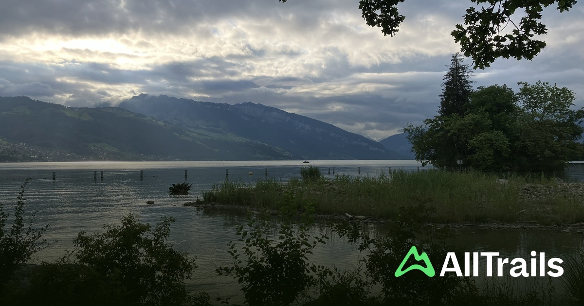 TCS Camping Thunersee - Gwatt - hikes and trails to get you there |  AllTrails