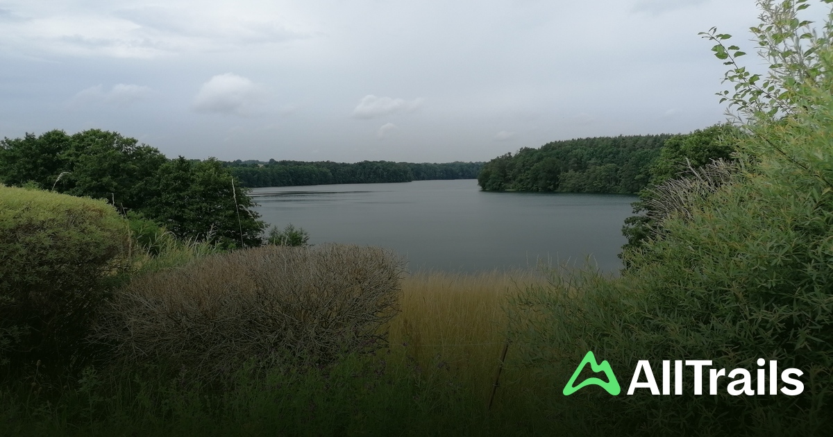 Camping am Dreetzsee - hikes and trails to get you there | AllTrails