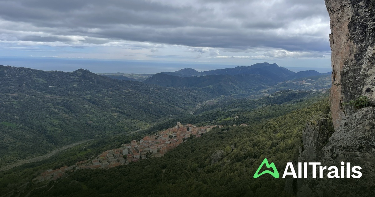 camping boschetto AK Ca' Vio Camping Al Boschetto.  Parmenides Ansichtskarten