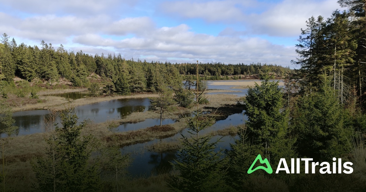 Randbl Camping - hikes and trails to get you there | AllTrails