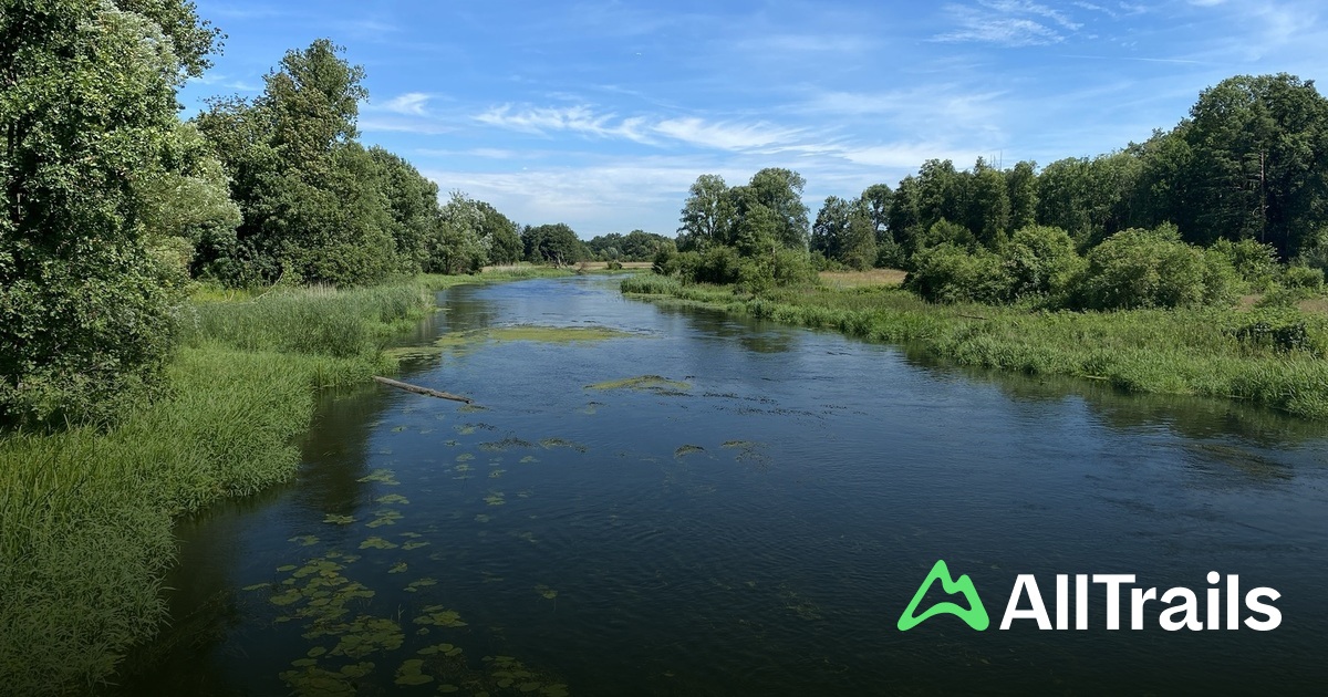 Campingplatz Jgerbude - hikes and trails to get you there | AllTrails