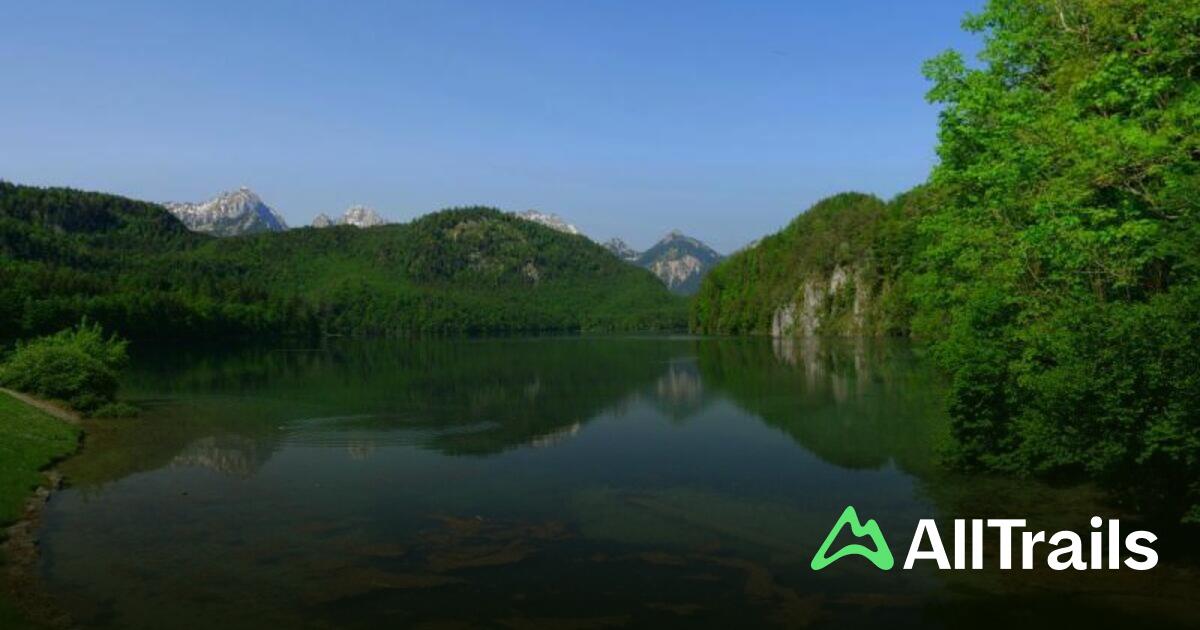 Campingplatz Seewang: Die besten Routen in der Umgebung | AllTrails