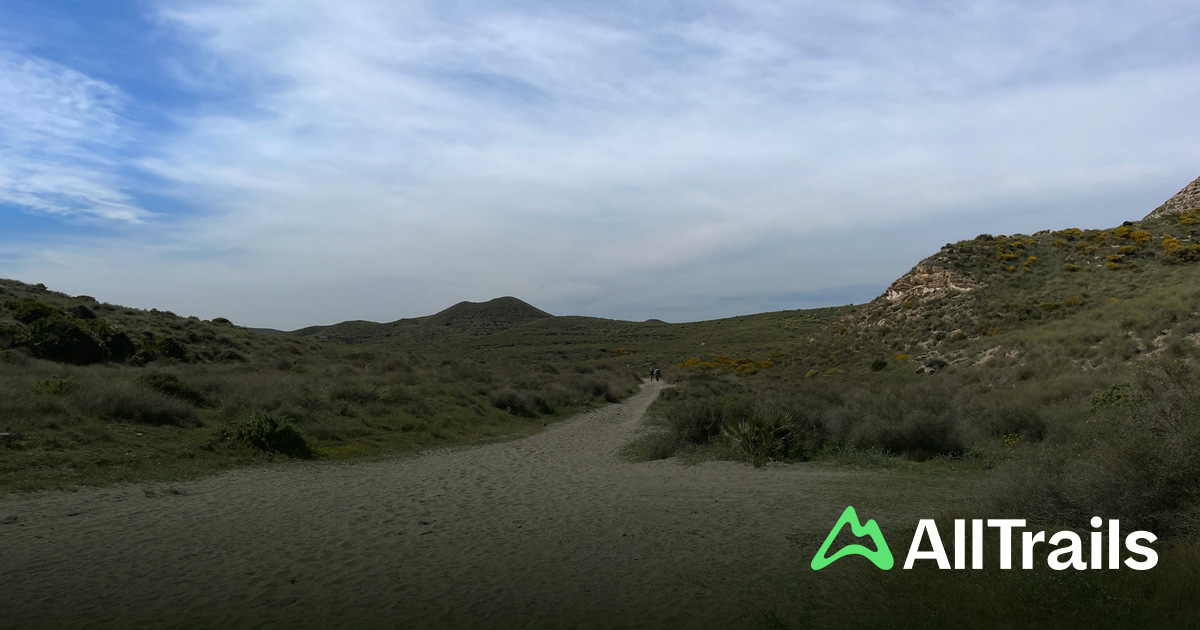 rocktrail camping backofen kaufen Dimego Camping Backofen » Jetzt kaufen! – Petromax