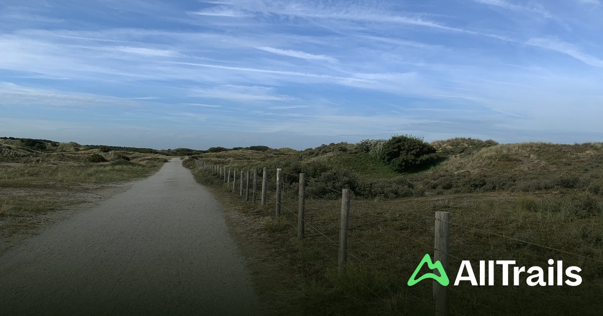 Camping de Duinpan: Die besten Routen in der Umgebung | AllTrails