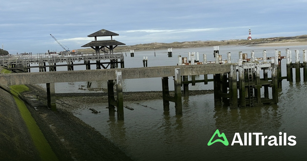 Boarding Pier Seastar IJzer Tour