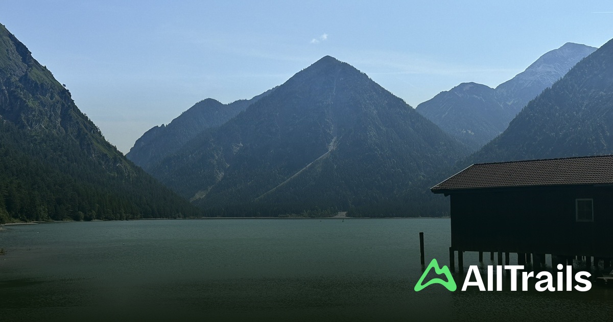 Campingplatz Seespitz - Plansee - hikes and trails to get you there |  AllTrails