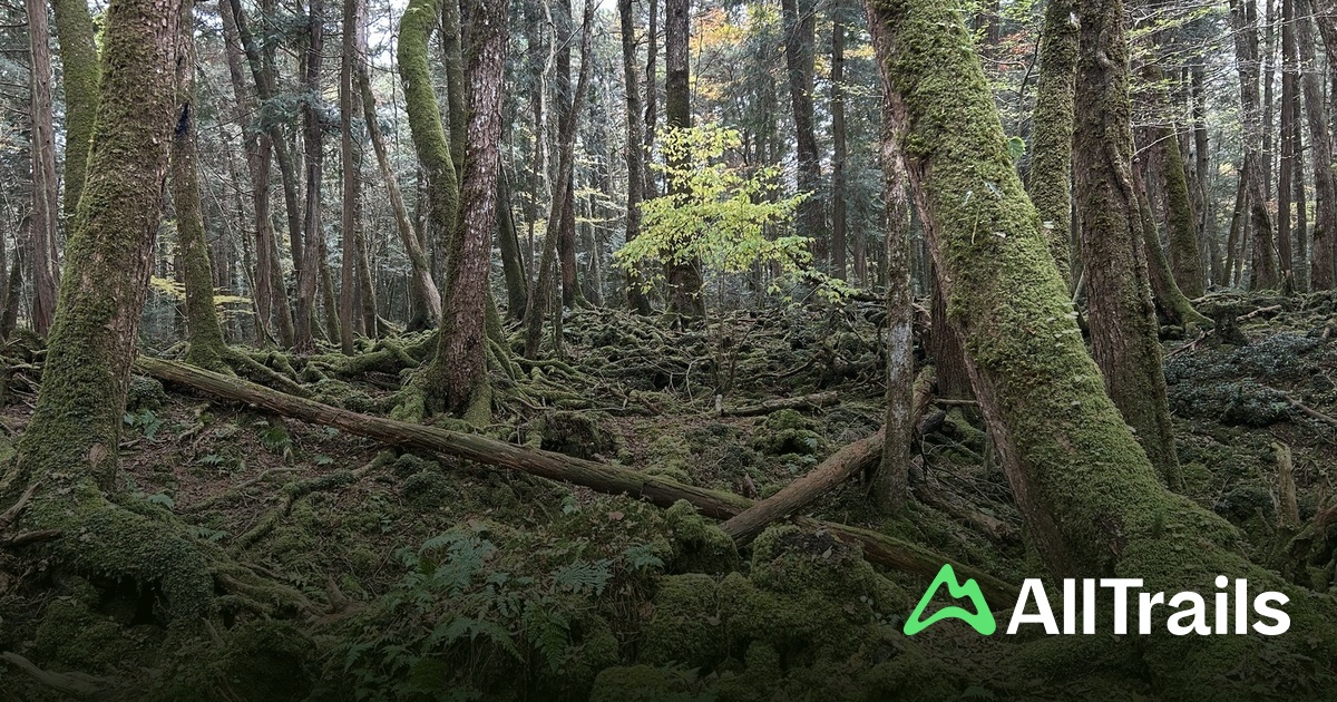Dragon Cave - hikes and trails to get you there | AllTrails