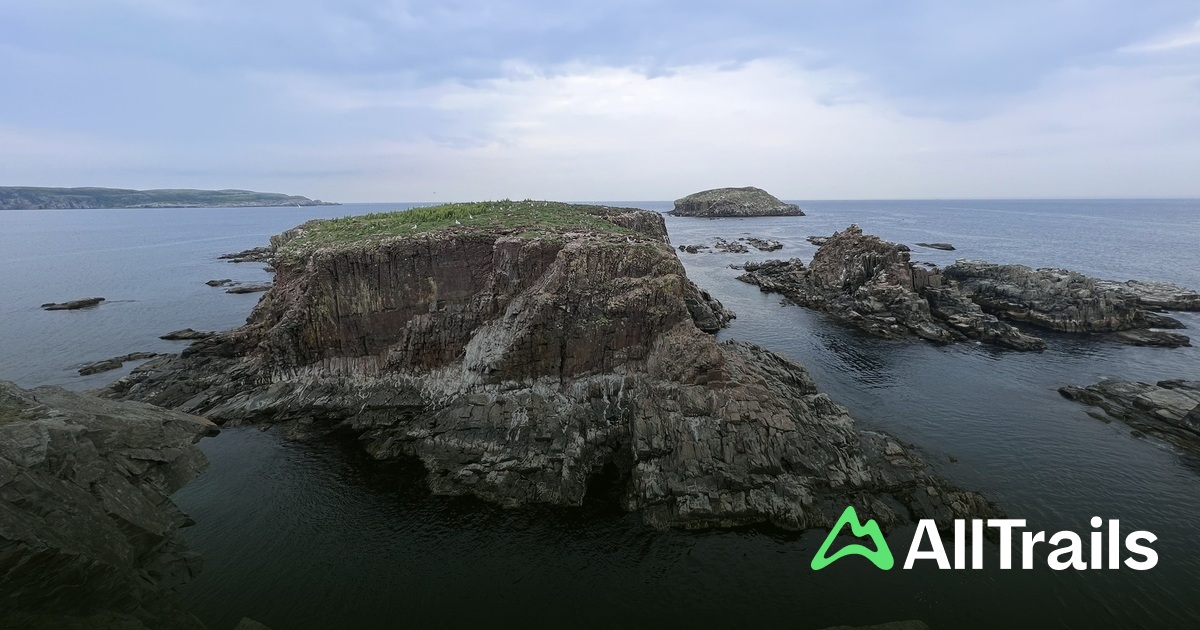 Puffin Viewing Point - hikes and trails to get you there | AllTrails