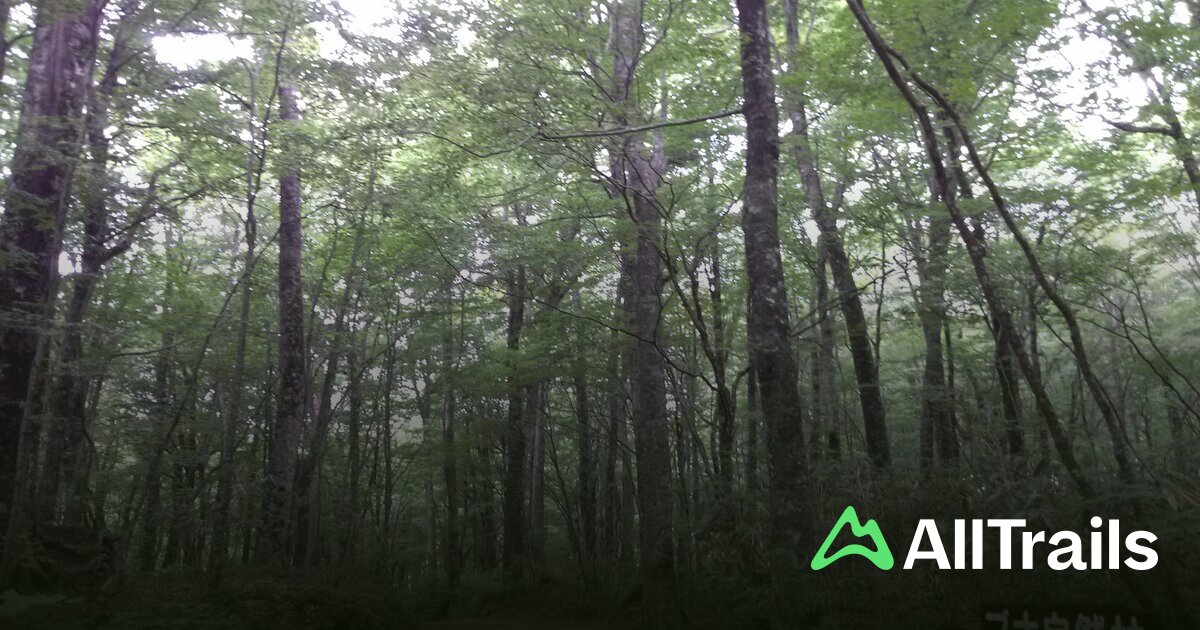 中ノ池（十二湖） () - hikes and trails to get you there