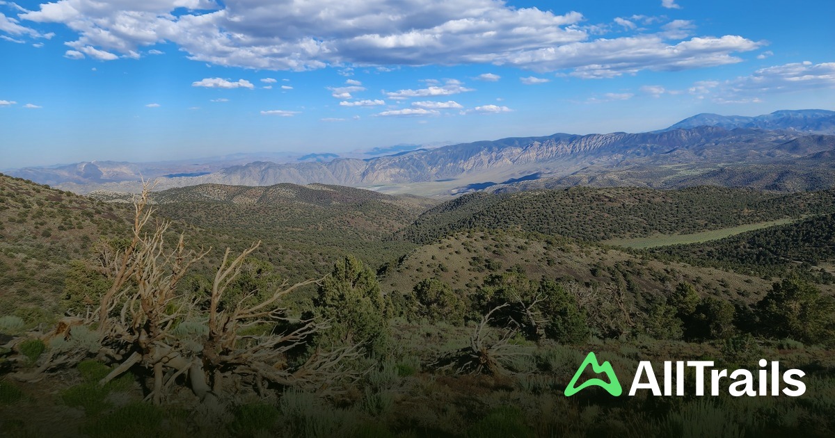 Sierra View Vista Point - hikes and trails to get you there | AllTrails