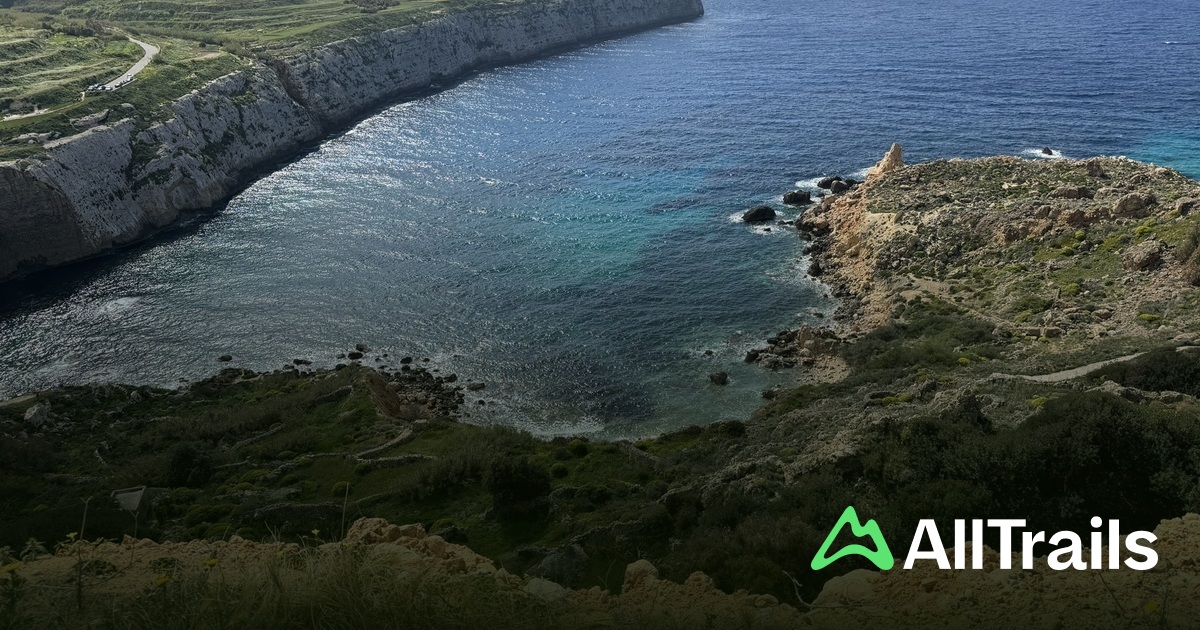 Il-Bajja tal-Ġnejna