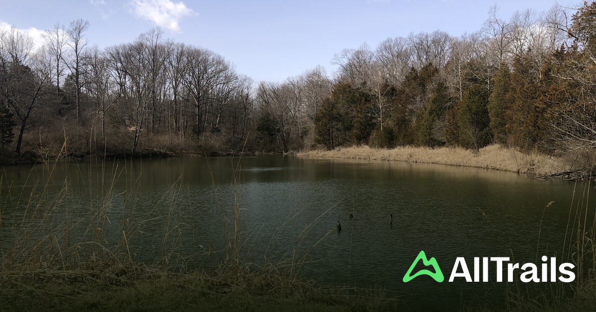 Dogwood Pond - hikes and trails to get you there | AllTrails