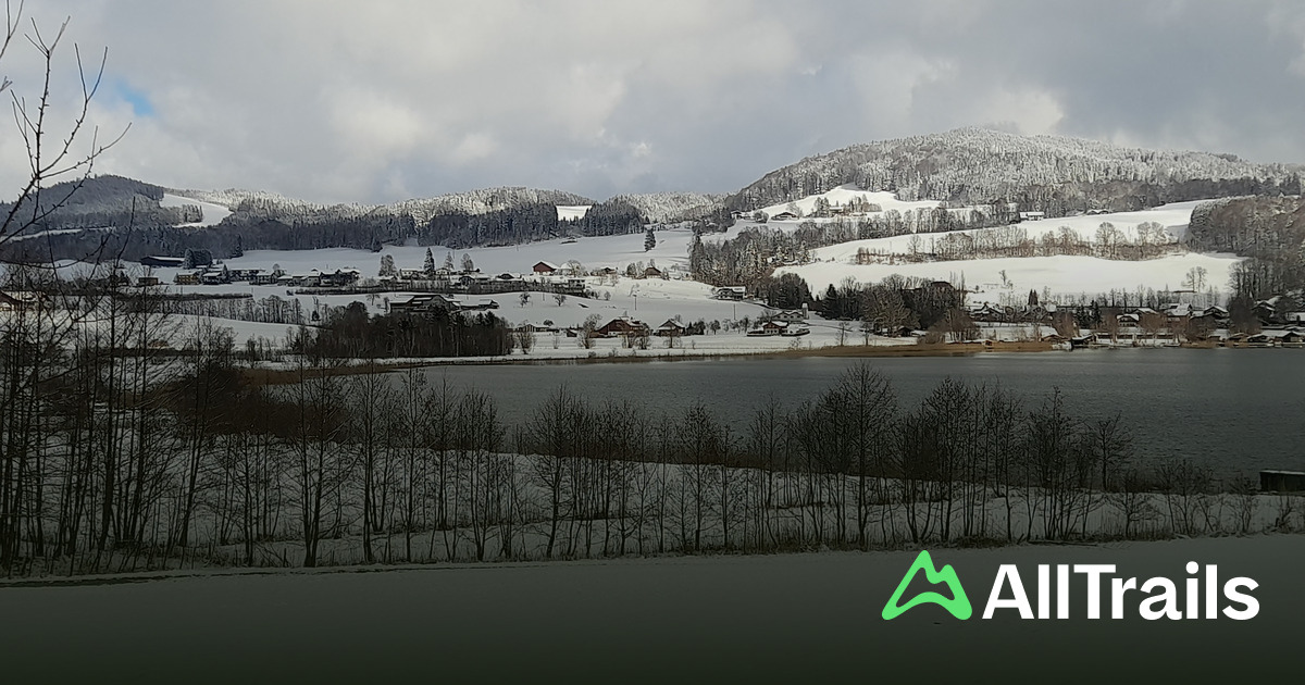 Camping Maier - hikes and trails to get you there | AllTrails