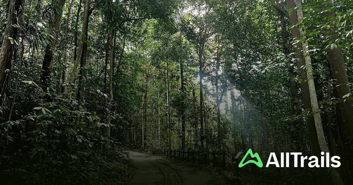 Ruin - hikes and trails to get you there | AllTrails