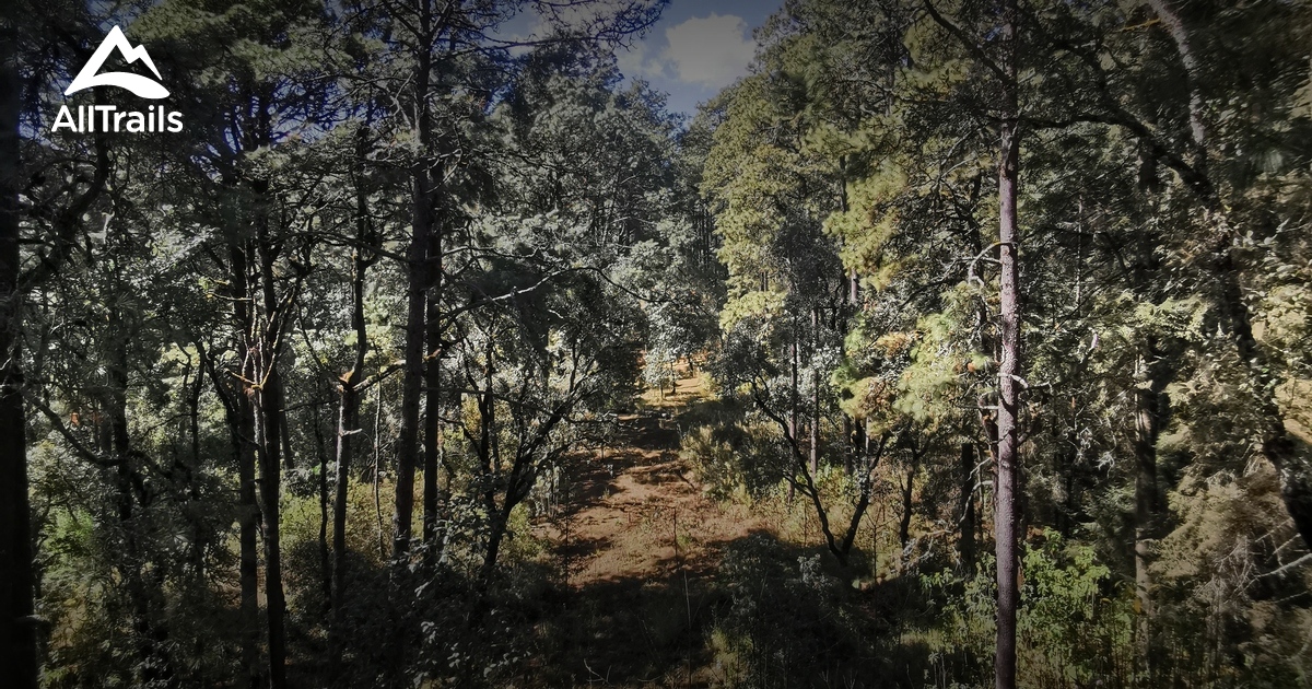 Die besten Routen in der Nähe von Cerro Pelagatos AllTrails