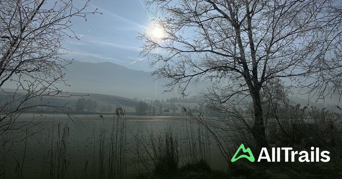 Camping Putterersee - hikes and trails to get you there | AllTrails