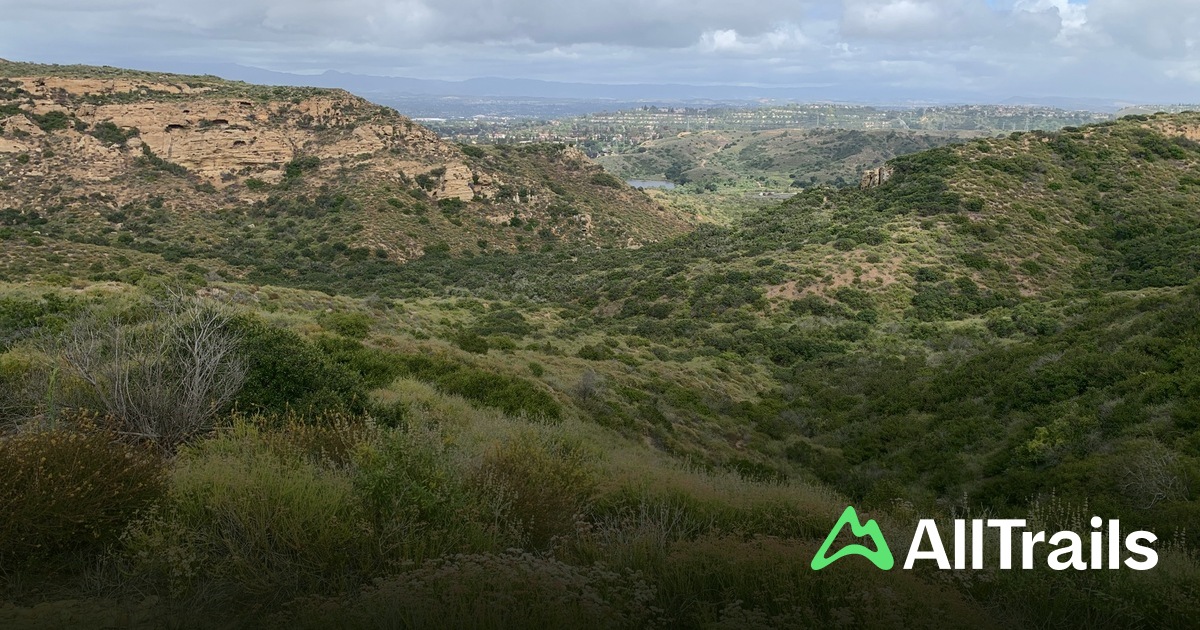 Shady Canyon - hikes and trails to get you there | AllTrails