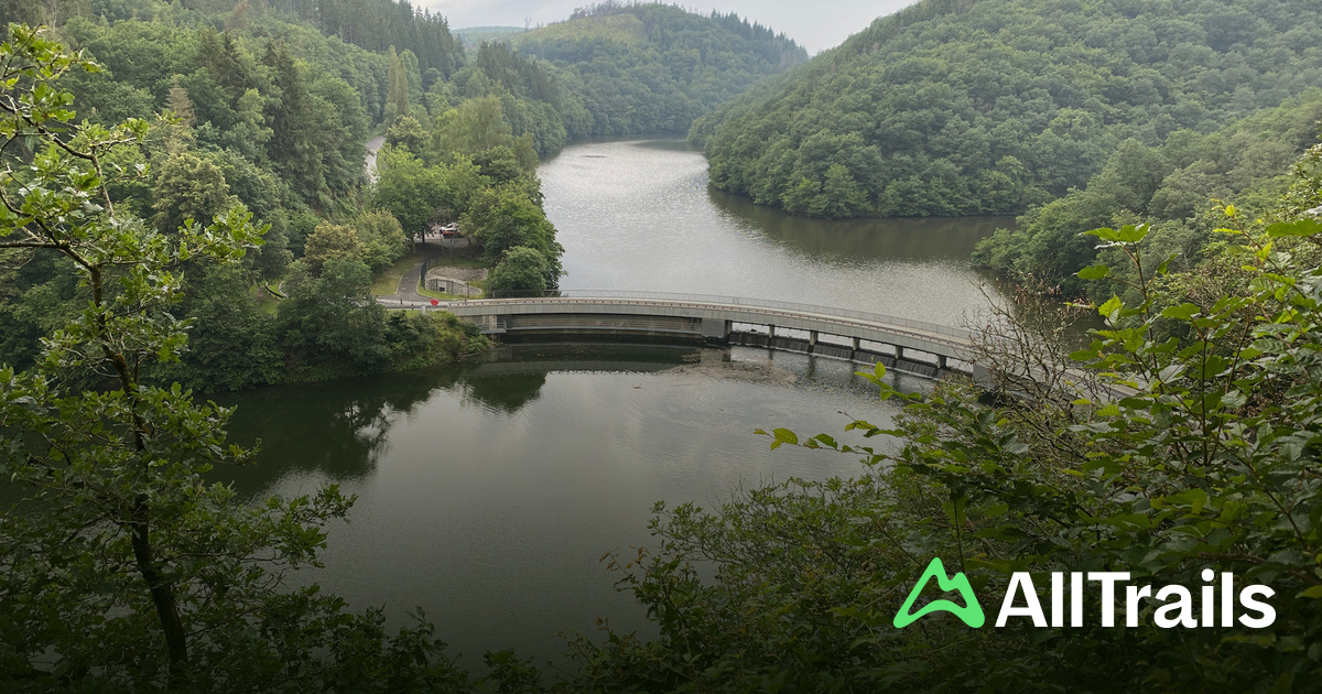 Wiltz International Scout Centre / Camp 19 (Renards - Fox - Fuchs) - hikes  and trails to get you there | AllTrails
