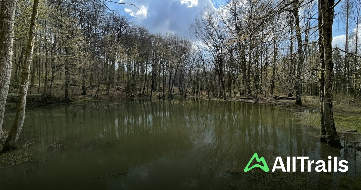Camping Gaalgebierg - hikes and trails to get you there | AllTrails