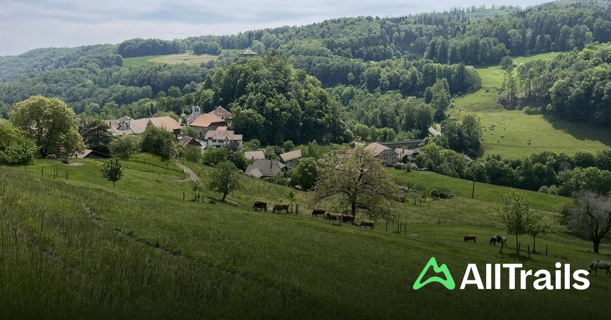 Best trails near Stellplatz Camping Vidy | AllTrails